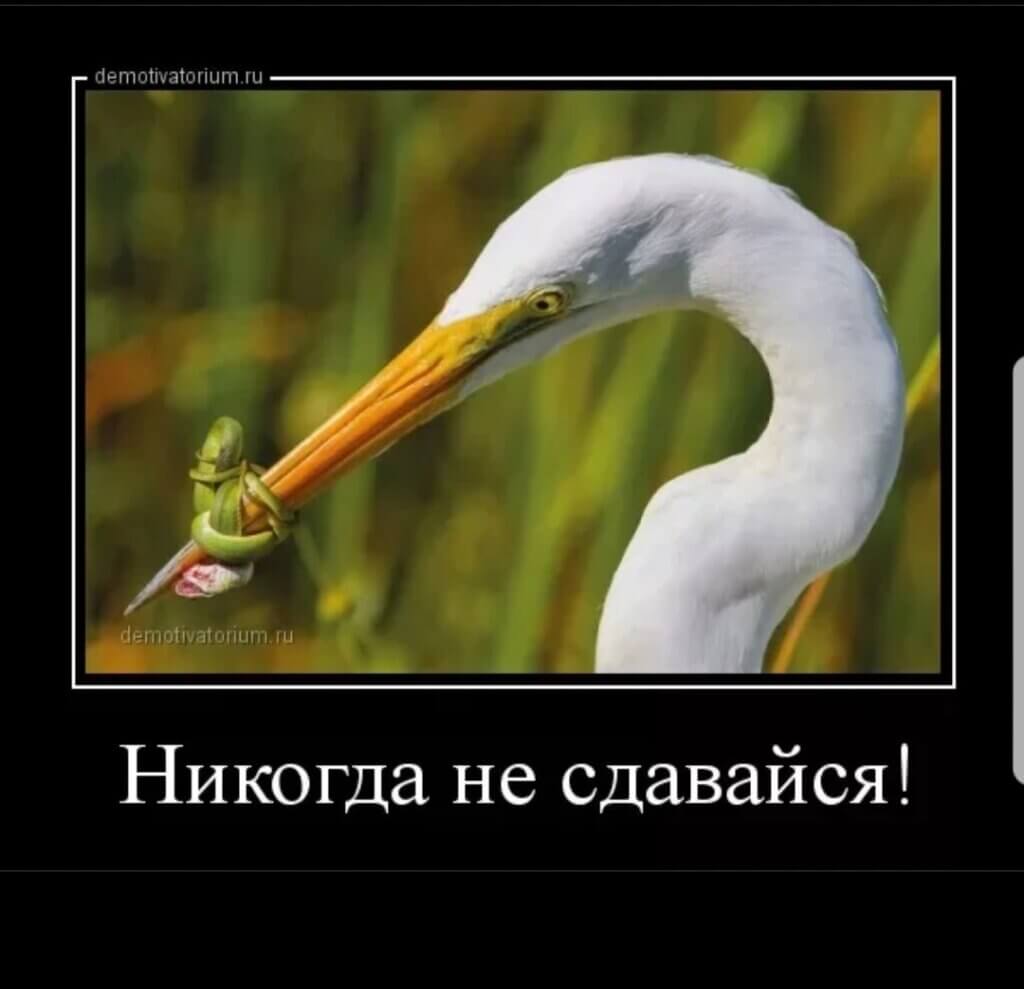 14 легендарных цитат Черчилля, которые изменили мир